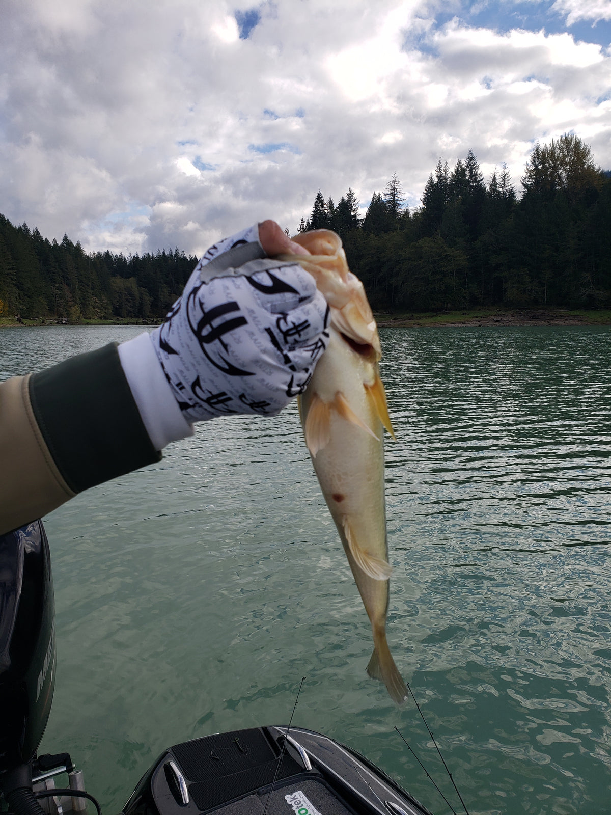 Fishing Gloves image 6